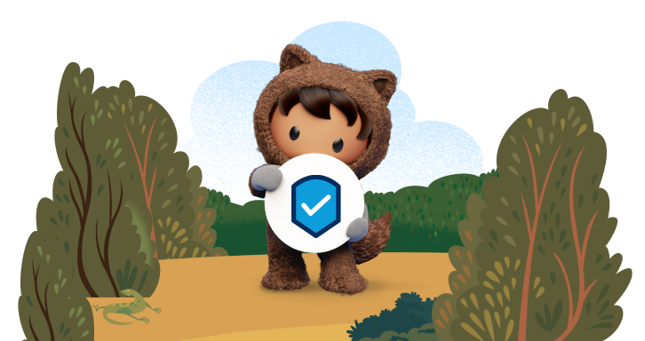 Salesforce Security