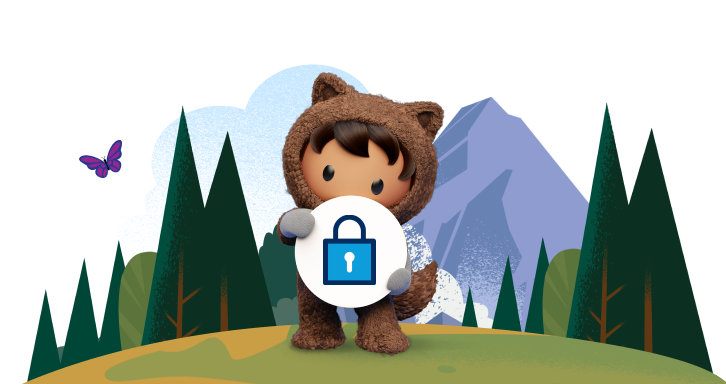 Seguridad de Salesforce